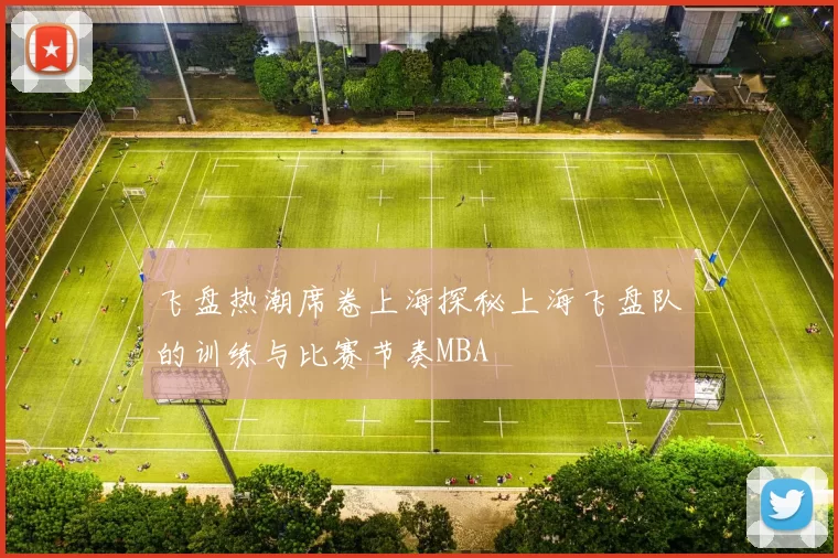 飞盘热潮席卷上海探秘上海飞盘队的训练与比赛节奏MBA